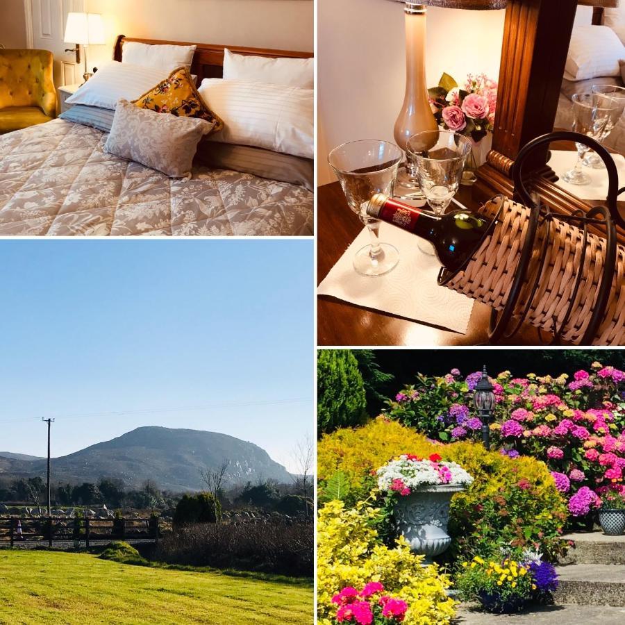 Bed & Breakfast Hillcrest Boyhollagh